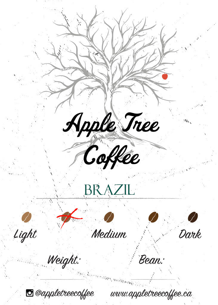 Brazil - Medium Roast - 907g